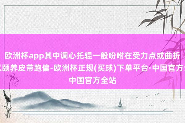 欧洲杯app其中调心托辊一般吩咐在受力点或曲折段以颐养皮带跑偏-欧洲杯正规(买球)下单平台·中国官方全站