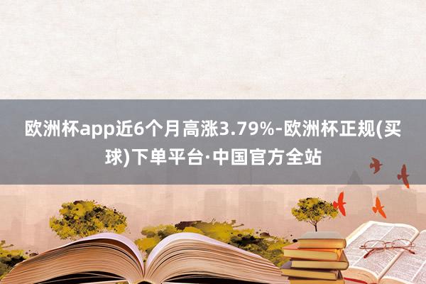 欧洲杯app近6个月高涨3.79%-欧洲杯正规(买球)下单平台·中国官方全站