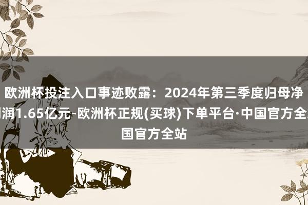 欧洲杯投注入口事迹败露：2024年第三季度归母净利润1.65亿元-欧洲杯正规(买球)下单平台·中国官方全站