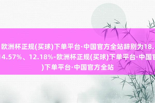 欧洲杯正规(买球)下单平台·中国官方全站辞别为18.17%、14.57%、12.18%-欧洲杯正规(买球)下单平台·中国官方全站