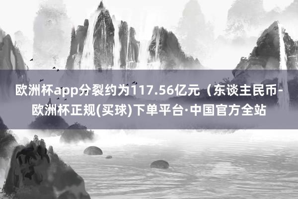 欧洲杯app分裂约为117.56亿元（东谈主民币-欧洲杯正规(买球)下单平台·中国官方全站