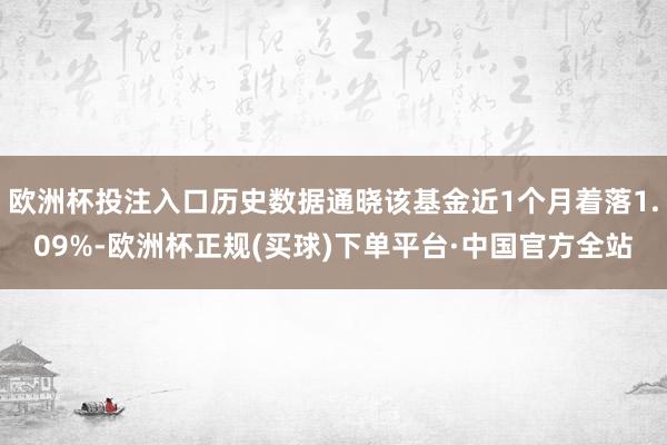 欧洲杯投注入口历史数据通晓该基金近1个月着落1.09%-欧洲杯正规(买球)下单平台·中国官方全站