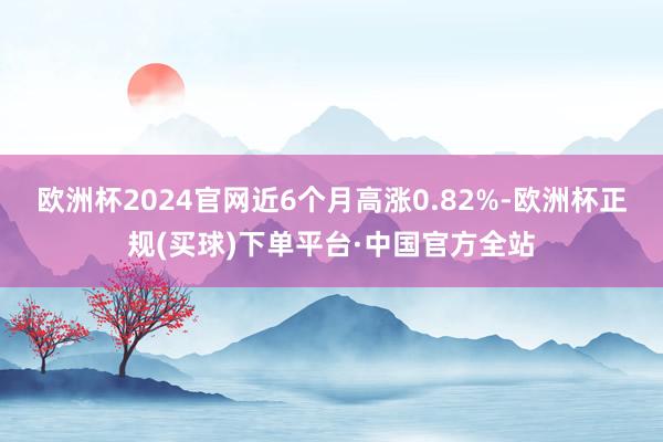 欧洲杯2024官网近6个月高涨0.82%-欧洲杯正规(买球)下单平台·中国官方全站