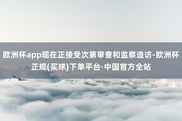 欧洲杯app现在正接受次第审查和监察造访-欧洲杯正规(买球)下单平台·中国官方全站